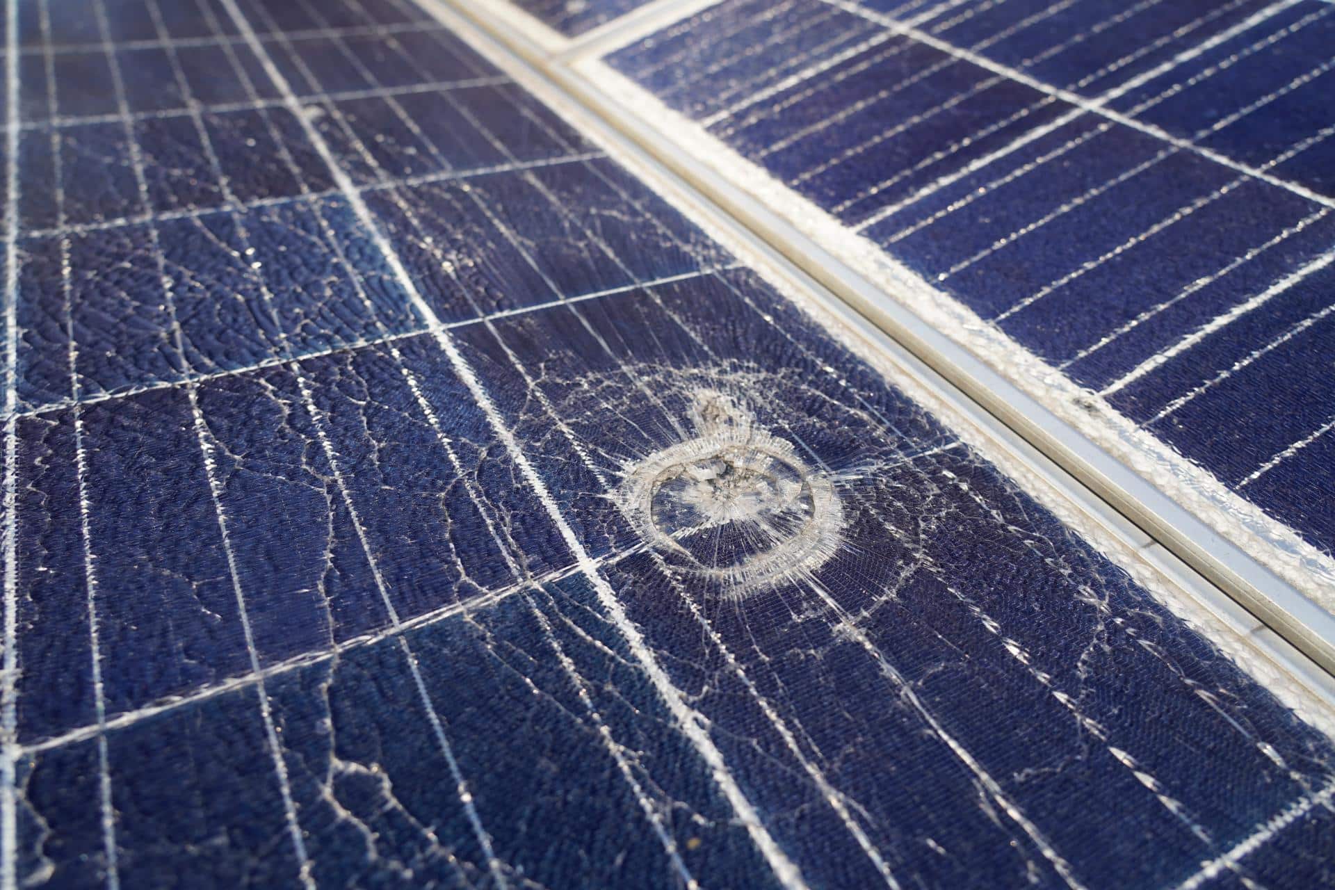 Potential Risks and Downsides